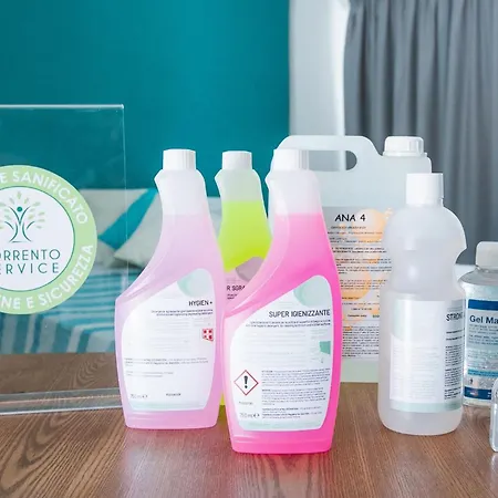 Apartment Sorrentovibes *